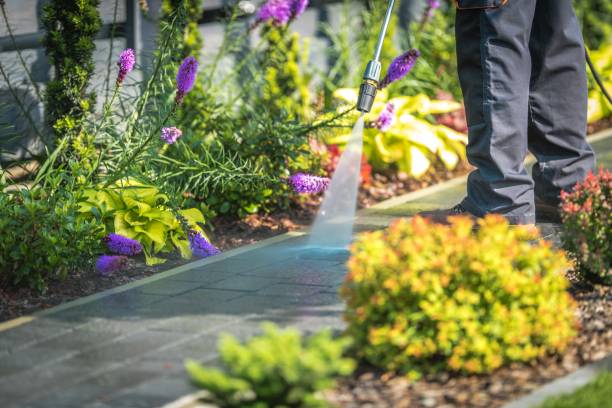 Best Spring Cleaning  in Hughes Springs, TX